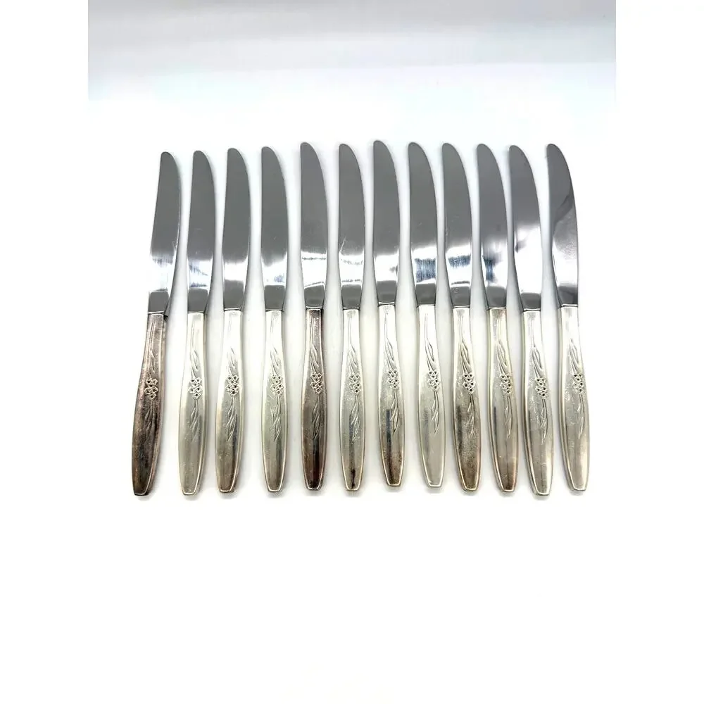 Oneida Community Silver Plate Enchantment Gentle Rose Set of 83 Pieces Flatware